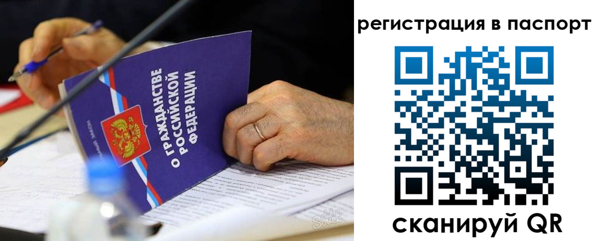 прописка законно в Александровске